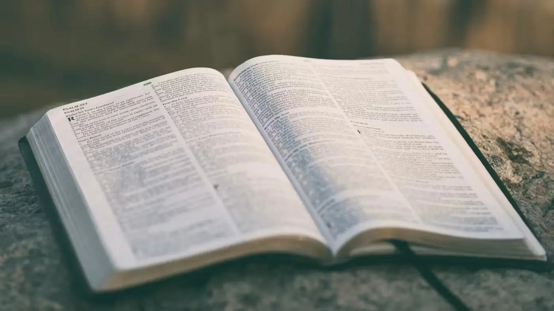 What Is Spiritual Growth in the Christian Life? Rooted DIscipleship